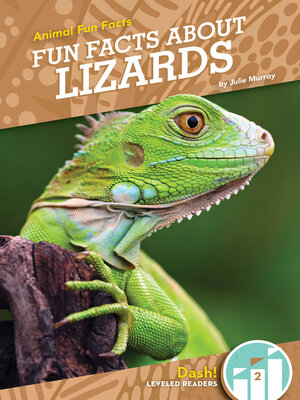 cover image of Fun Facts About Lizards